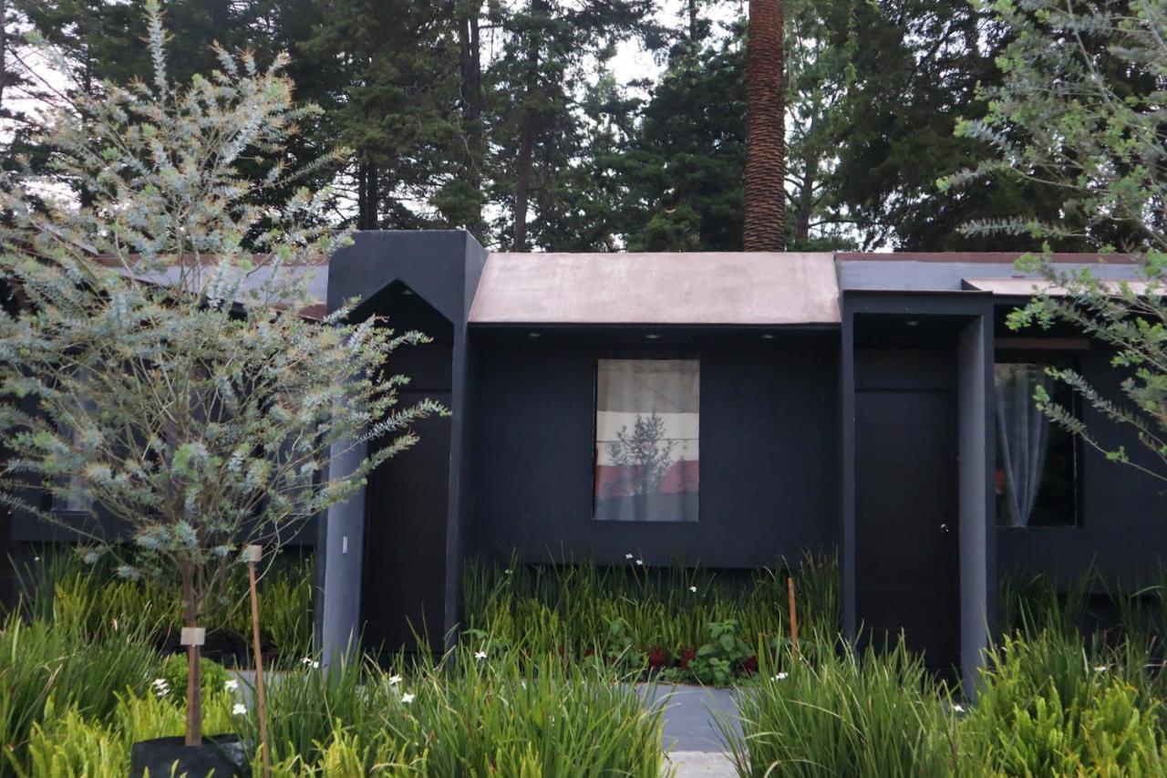 Utopia Hotel Boutique Mexico City Exterior photo
